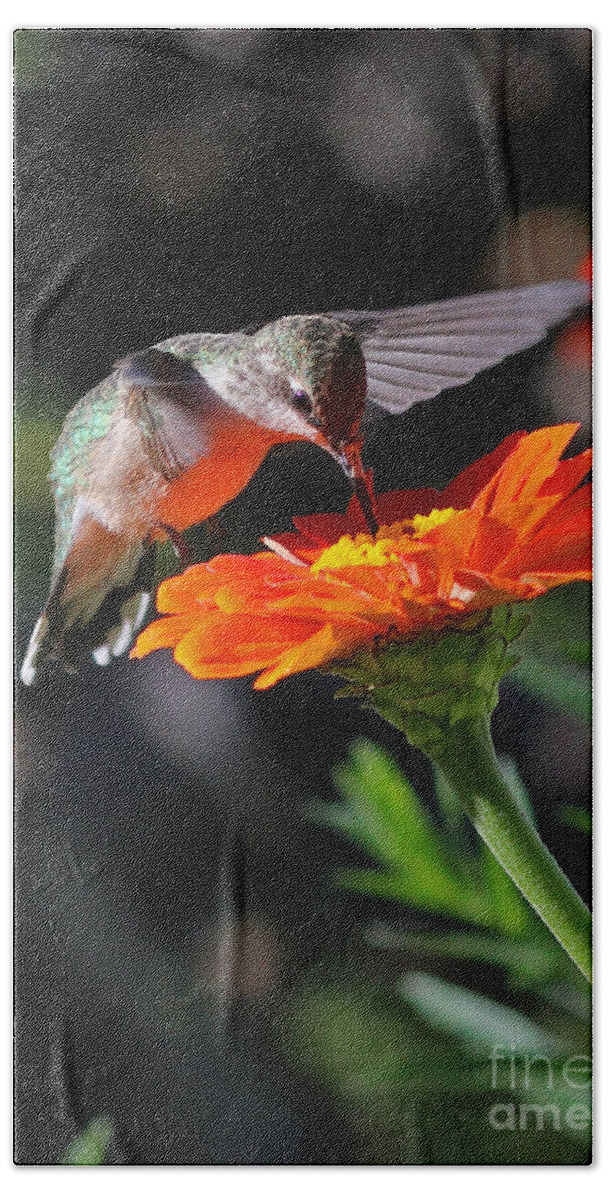 Orange Hand Towel featuring the photograph Hummingbird and Zinnia by Steve Augustin
