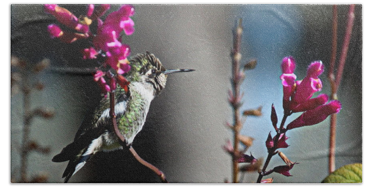 Hummingbird Hand Towel featuring the photograph Hummingbird by Christina Ochsner