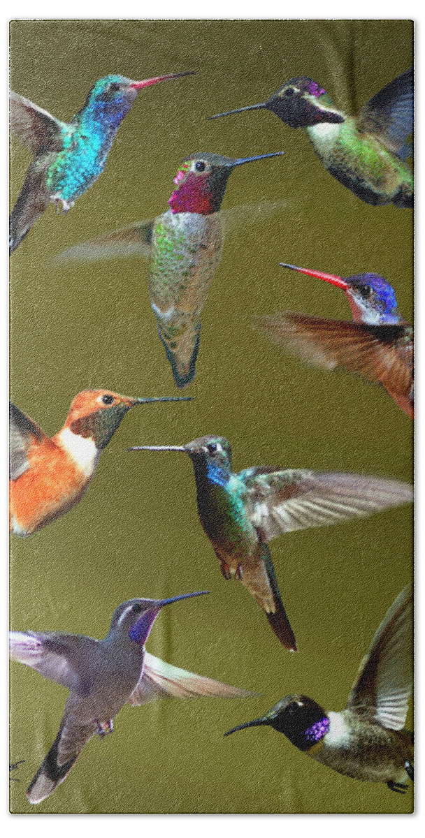 Nature Hand Towel featuring the photograph Hummingbird Collage by David Salter