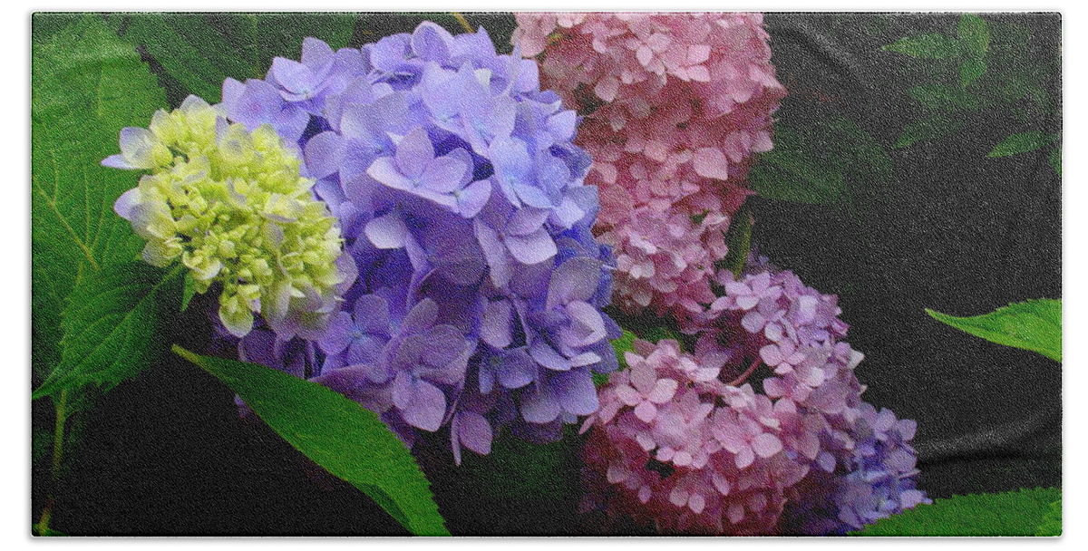 Fine Art Hand Towel featuring the photograph Hydrangea Glow by Rodney Lee Williams