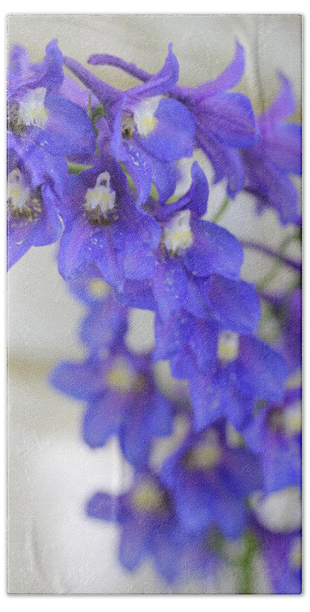 Delphinium Hand Towel featuring the photograph I Got the Blues by Ruth Kamenev