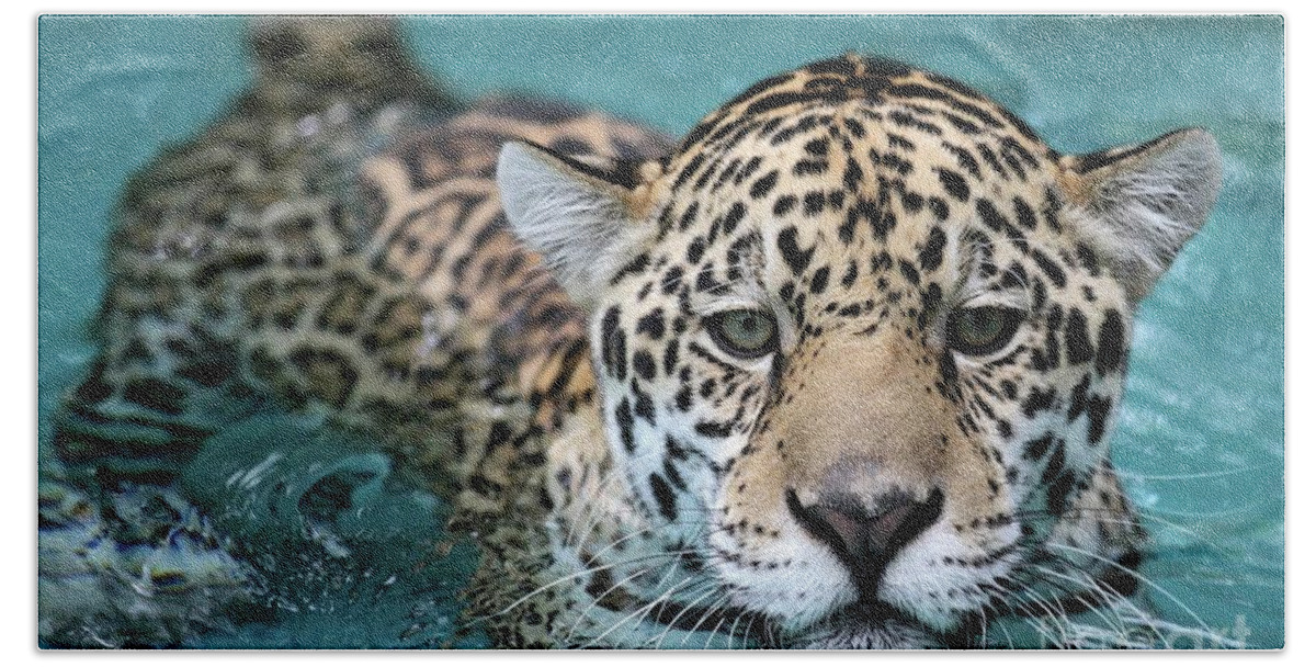 Jaguar Hand Towel featuring the photograph I Love the Water by Sabrina L Ryan