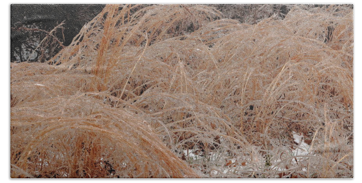 Ice Bath Towel featuring the photograph Ice And Dry Grass by Daniel Reed