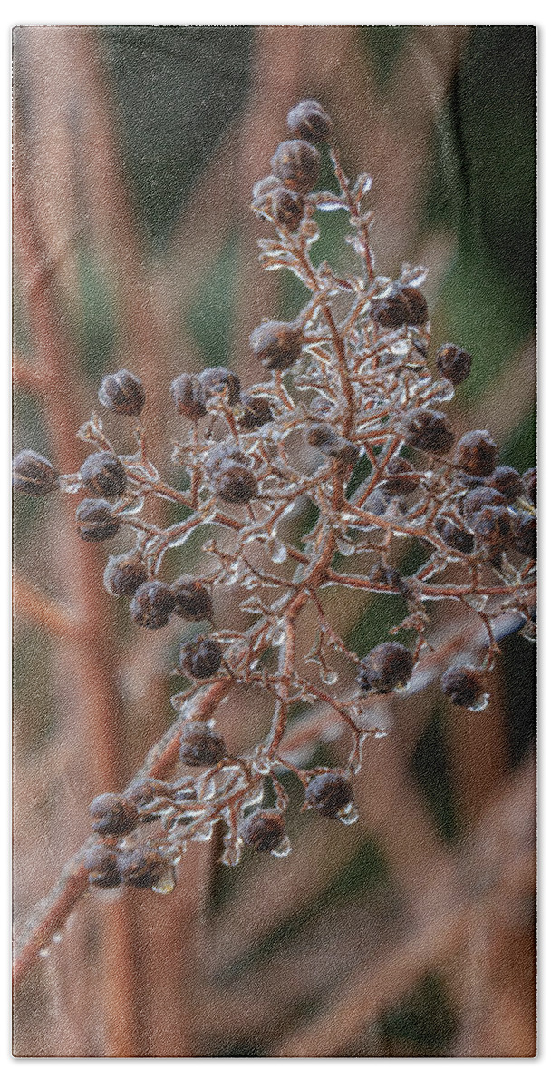 Winter Hand Towel featuring the photograph Ice on berries by Patricia Schaefer