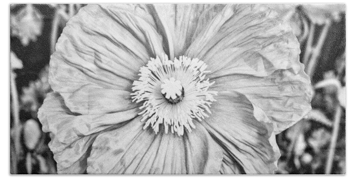 Floral Bath Towel featuring the photograph Iceland Poppy In Black And White by Priya Ghose
