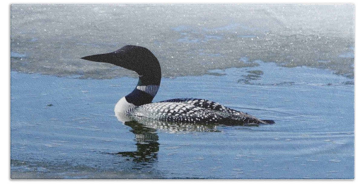 Loon Bath Towel featuring the photograph Icy Loon by Steven Clipperton