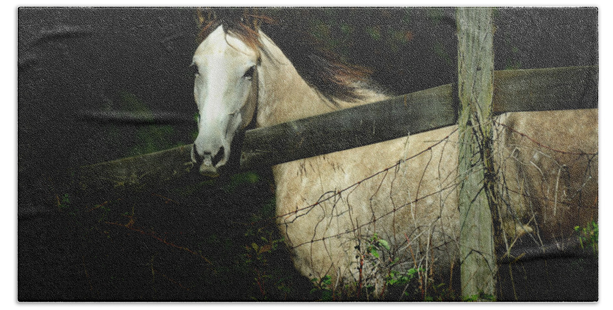 Horse Hand Towel featuring the photograph If Wishes Were Horses by Rebecca Sherman