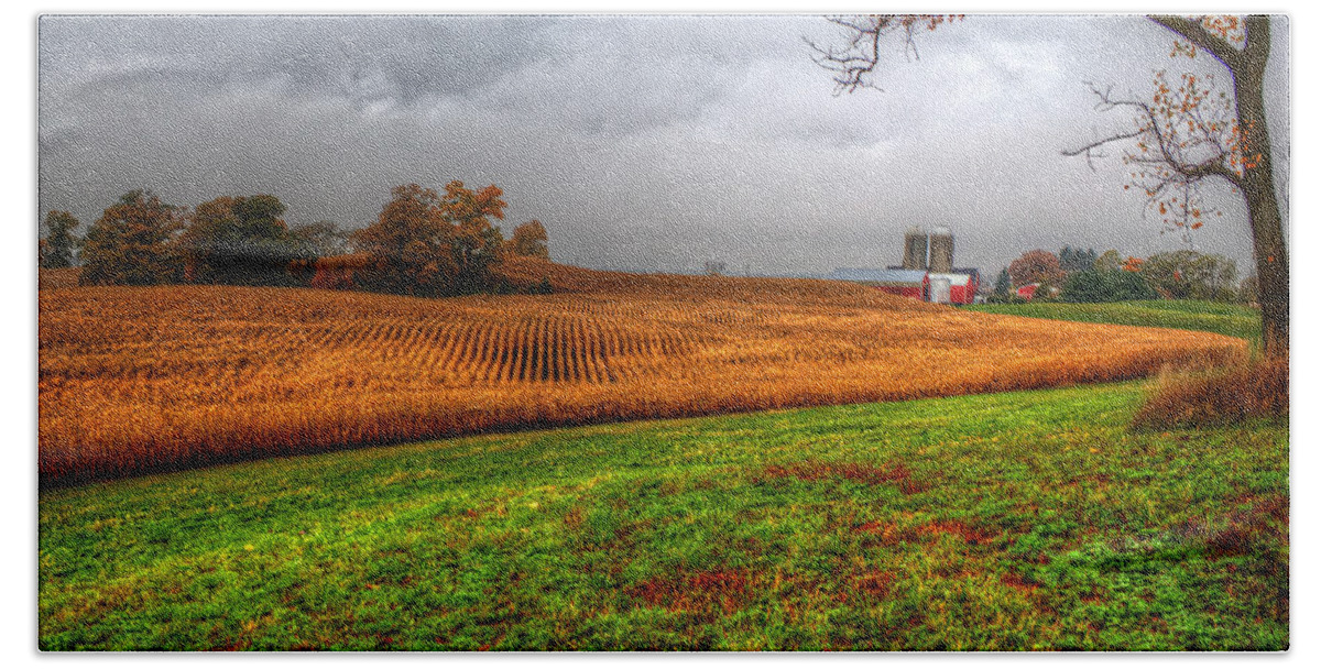 Illinois Hand Towel featuring the photograph Illinois Farmland I by Roger Passman