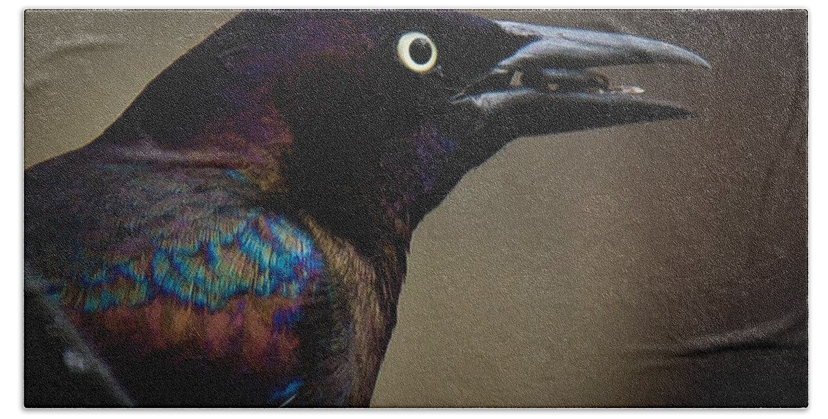 Common Grackle Bath Towel featuring the photograph I'm not done eating by Robert L Jackson