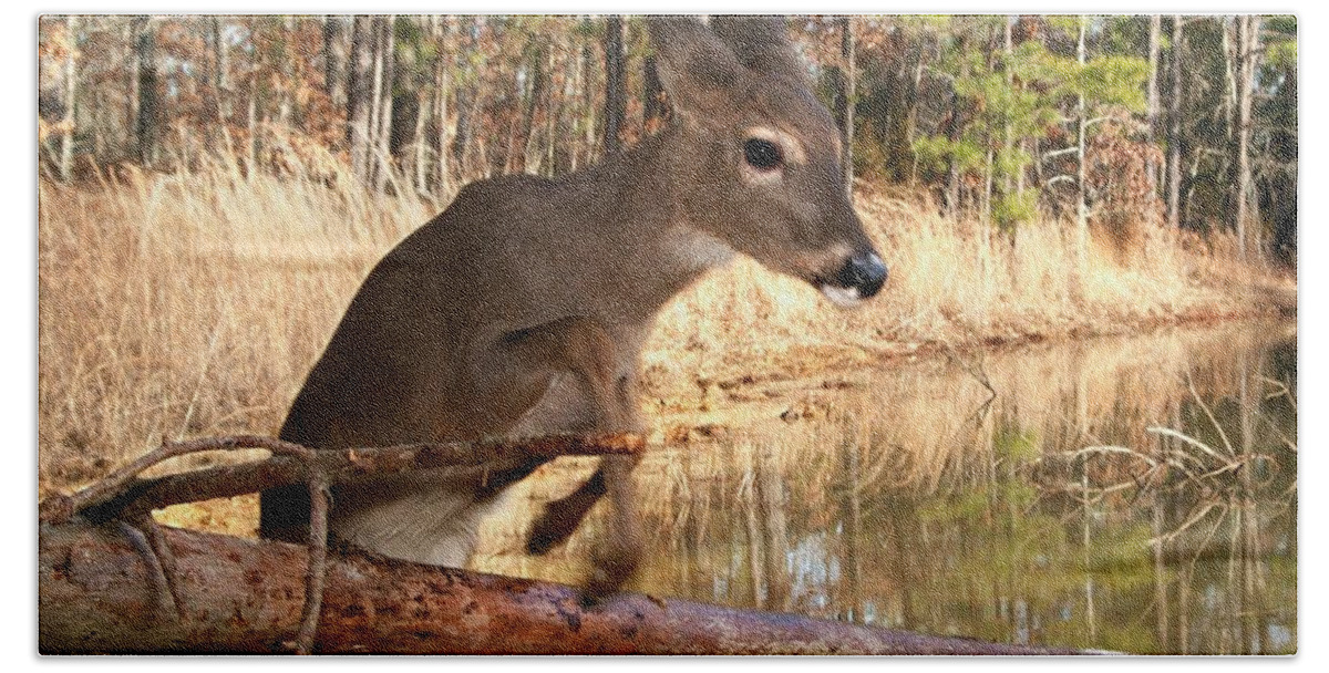 Wildlife Bath Towel featuring the photograph In A Flash by Bill Stephens
