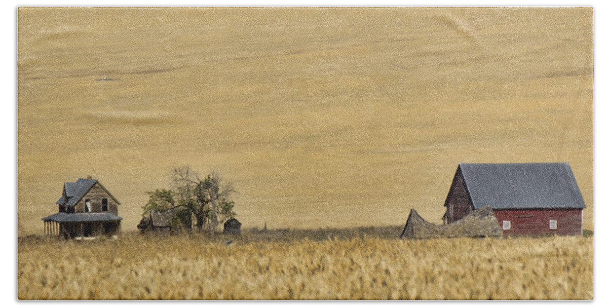 Homestead Bath Towel featuring the photograph In a Sea of Wheat by Cathy Anderson