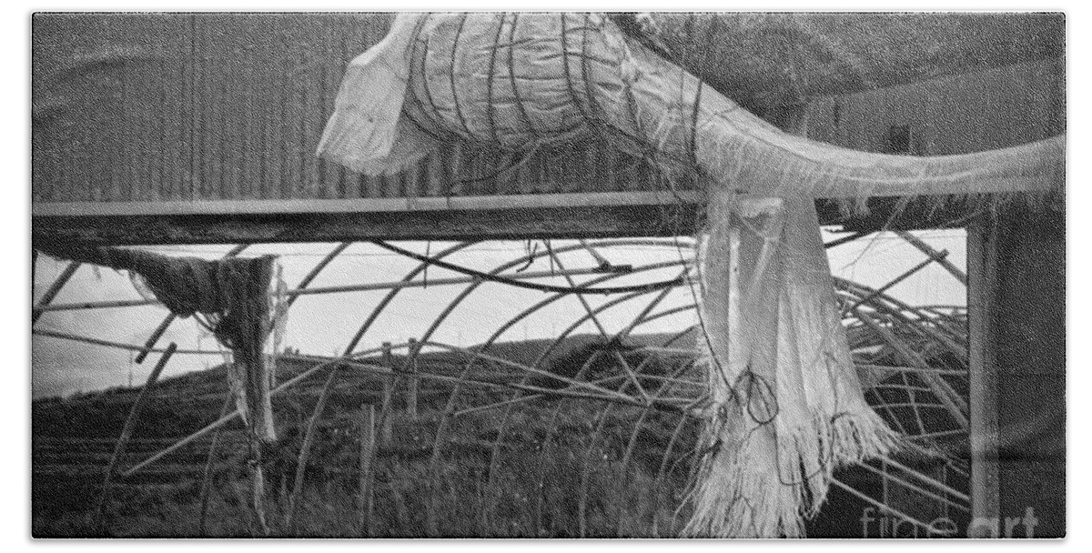 Shed Bath Towel featuring the photograph In an abandoned mushroom farm BW by RicardMN Photography