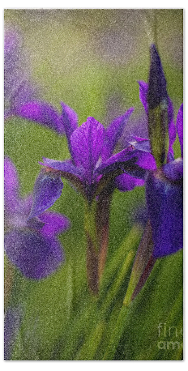 Iris Hand Towel featuring the photograph Purple Irises In Beautiful Company by Mike Reid