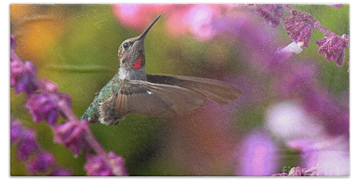 Hummingbird Bath Towel featuring the photograph In Between Meals by Adam Jewell