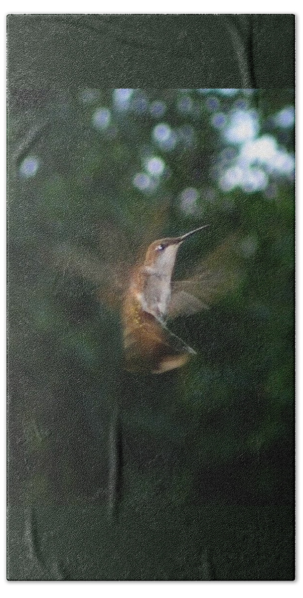 Bird Bath Towel featuring the photograph In Flight by Photographic Arts And Design Studio