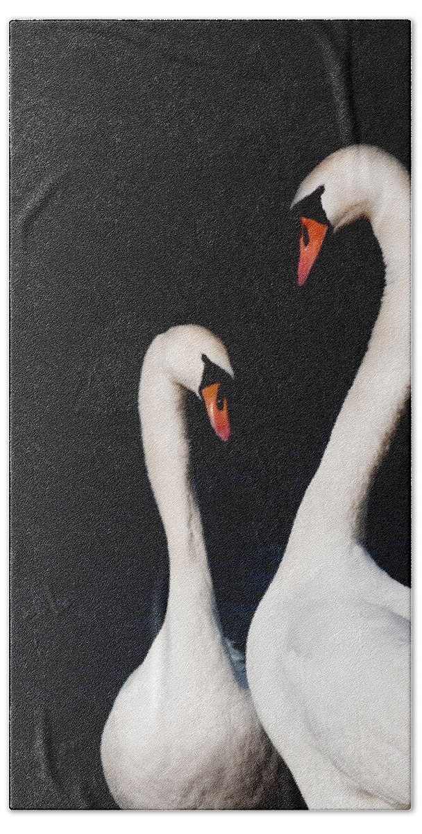 Swans Bath Towel featuring the photograph In love by Laura Melis
