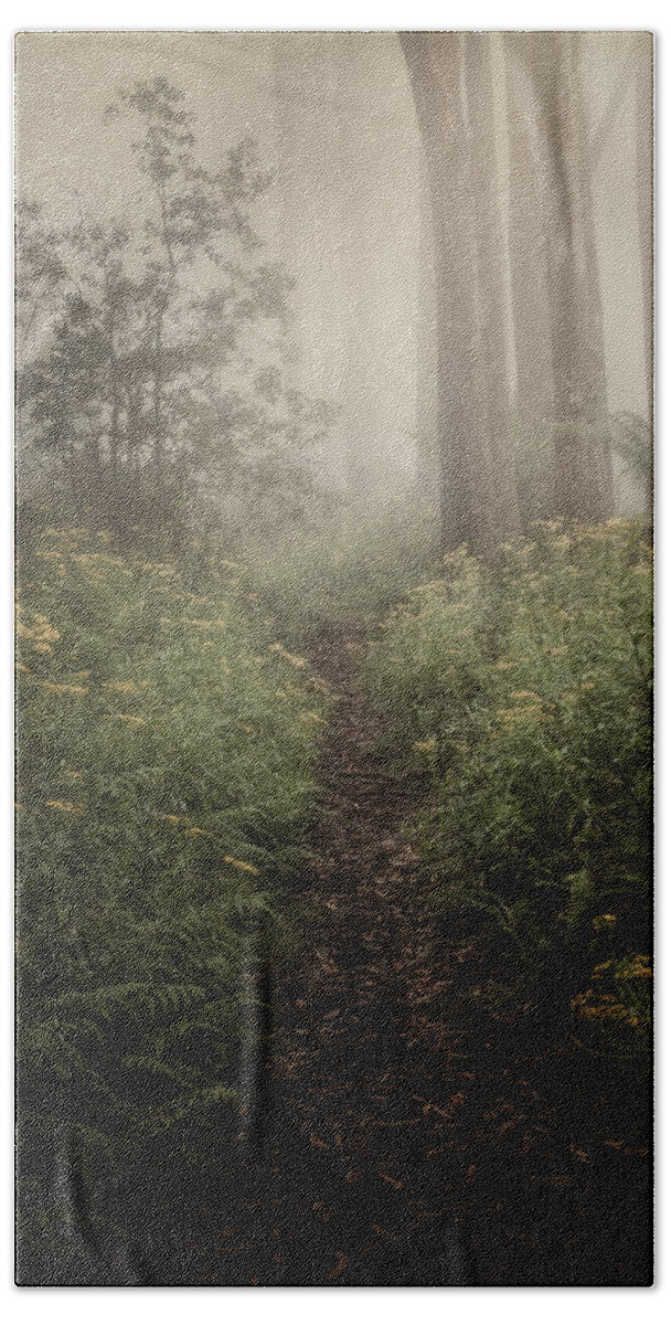 Fog Hand Towel featuring the photograph In Silence by Amy Weiss