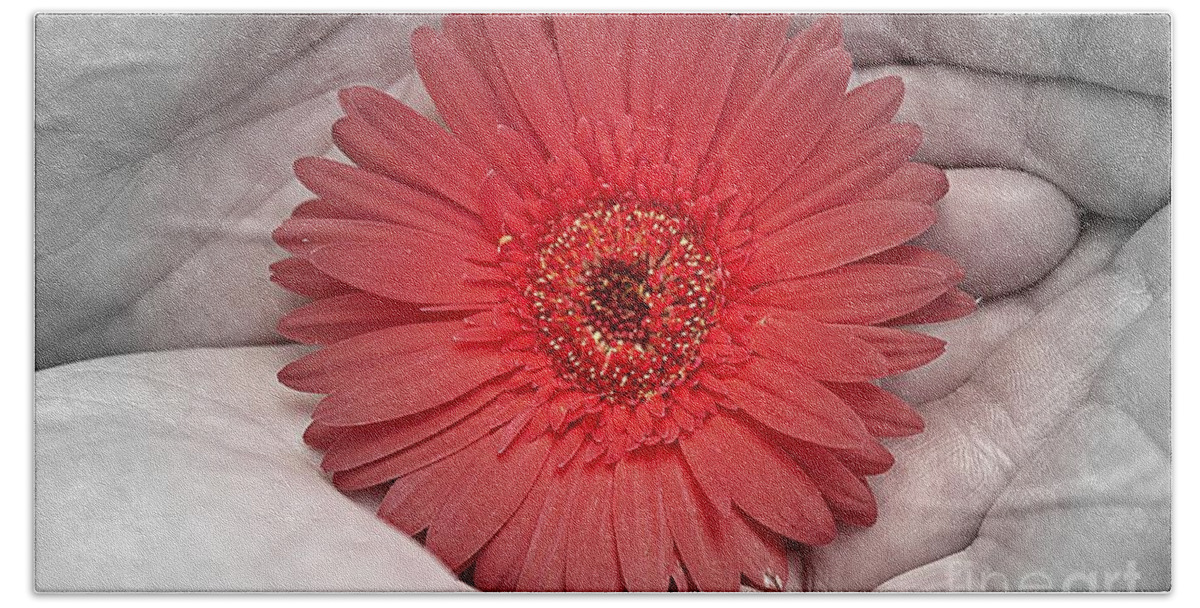 Gerbera Bath Towel featuring the photograph In Strong Hands by Clare Bevan