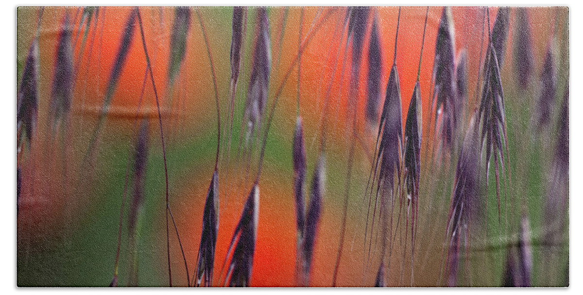 Abstract Bath Towel featuring the photograph In the Meadow by Heiko Koehrer-Wagner