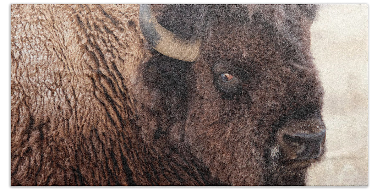 Olena Art Bath Towel featuring the photograph In the Presence of Bison - 2 by OLena Art by Lena Owens - Vibrant DESIGN