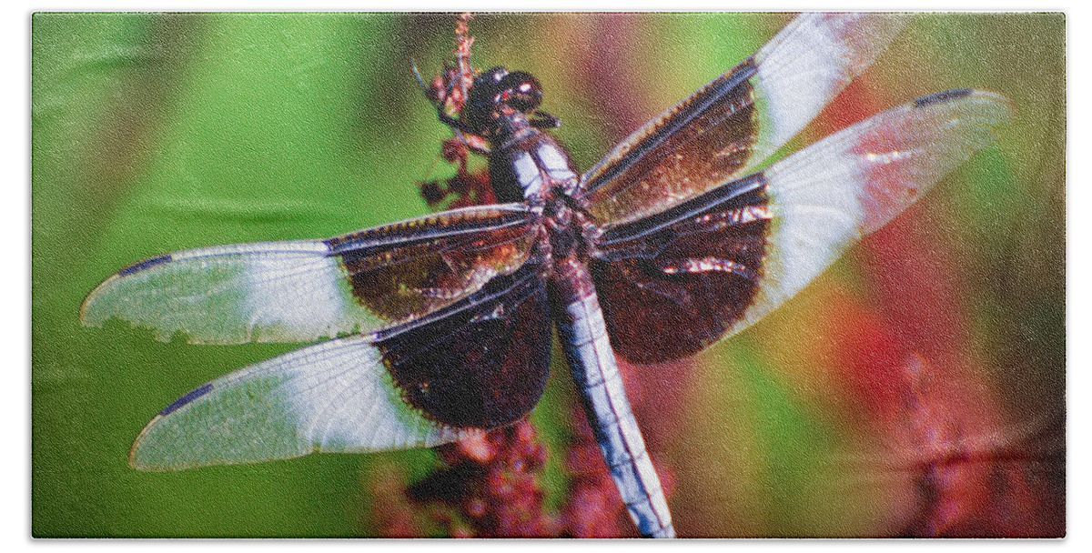 Dragonfly Bath Towel featuring the photograph In The Red by Kerri Farley
