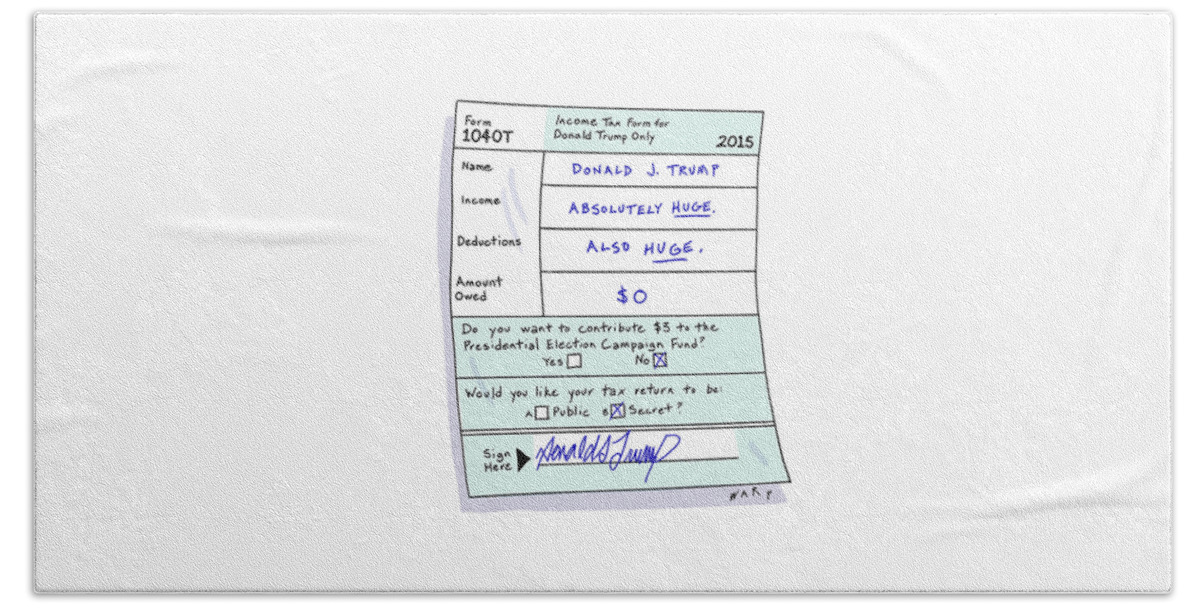Income Tax Form For Donald Trump Only Bath Sheet