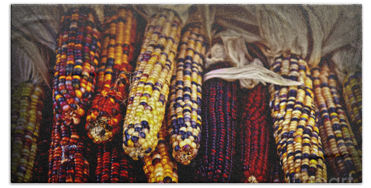 Corn Bath Towel featuring the photograph Indian corn by Elena Elisseeva