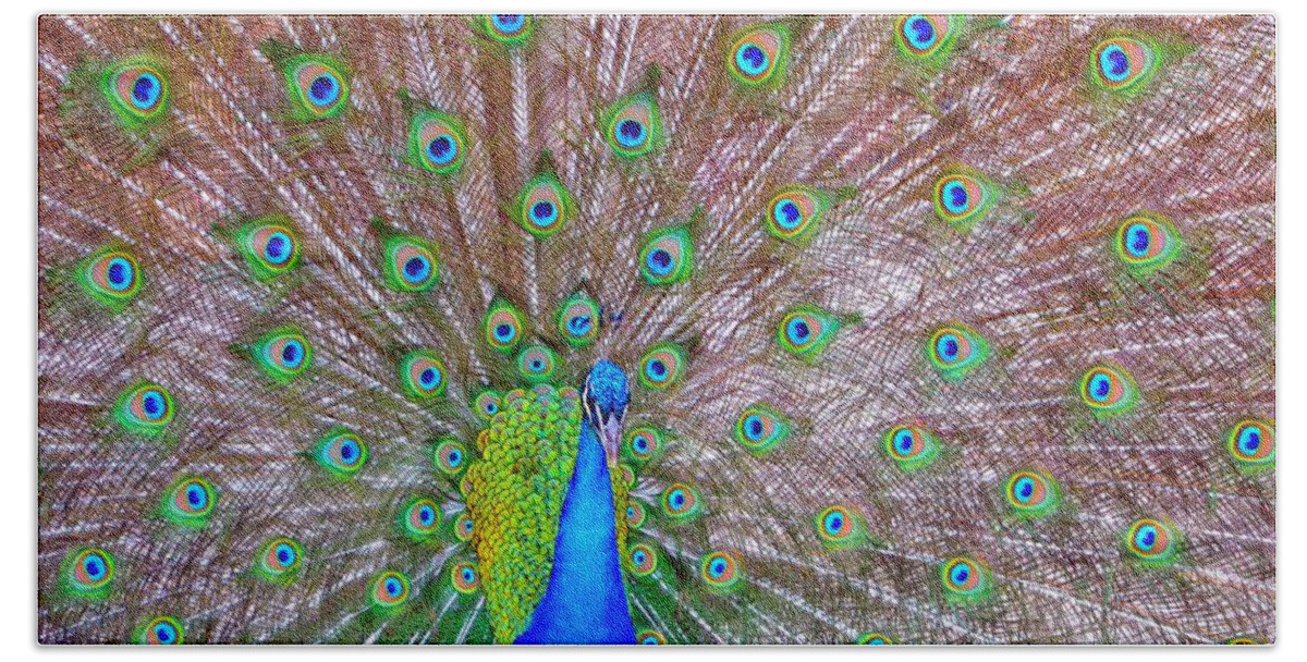 Peacock Bath Towel featuring the photograph Indian Peacock by Deena Stoddard
