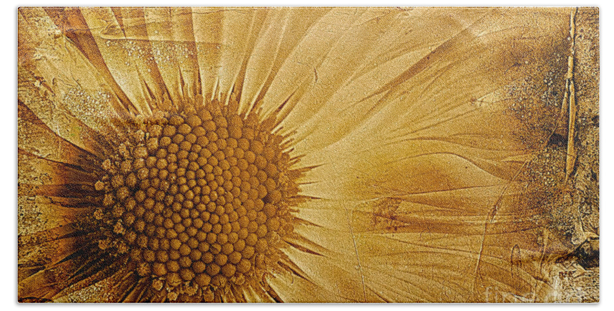 Textured Bellis Perennis Bath Sheet featuring the photograph Infusion by John Edwards