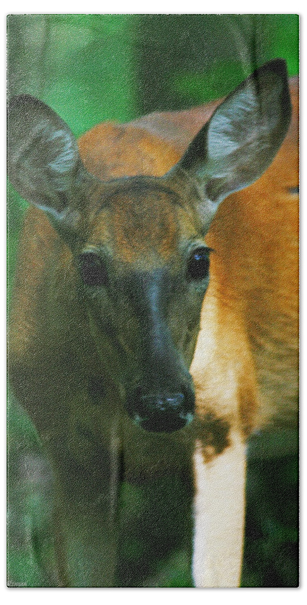 Deer Bath Towel featuring the photograph Inquisitive Doe by Miss Crystal D