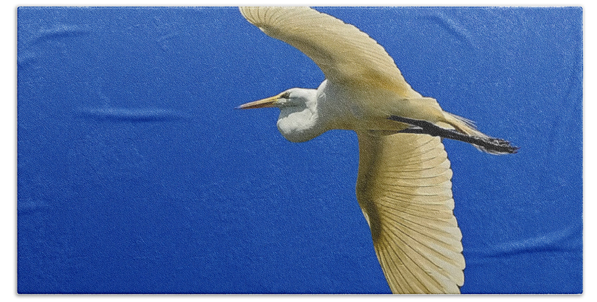 Birds In Flight Bath Towel featuring the photograph Into the blue by Stuart Harrison
