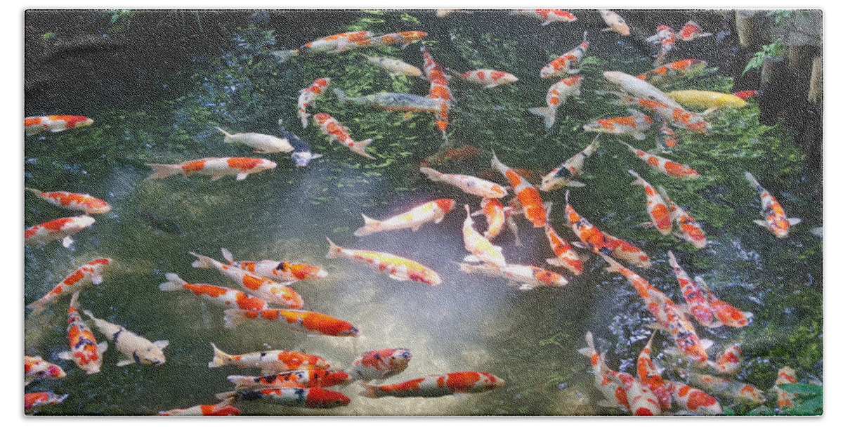Japanese Koi Carp Bath Towel featuring the photograph Into the light by Scott Carruthers
