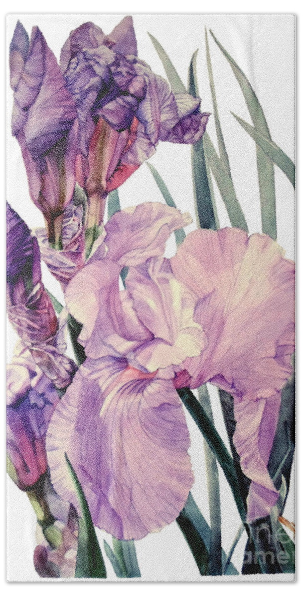 Watercolor Bath Towel featuring the painting Watercolor of an elegant Tall Bearded Iris in pink and purple I call Iris Joan Sutherland by Greta Corens