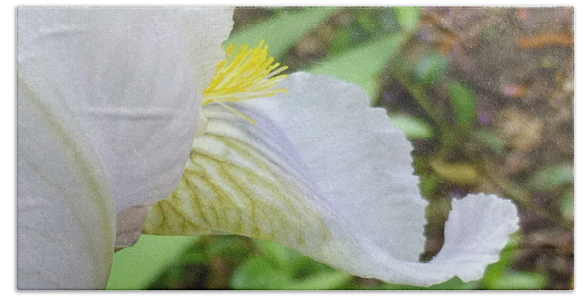 Flower Bath Towel featuring the photograph Iris Macro 2 by Claudia Goodell