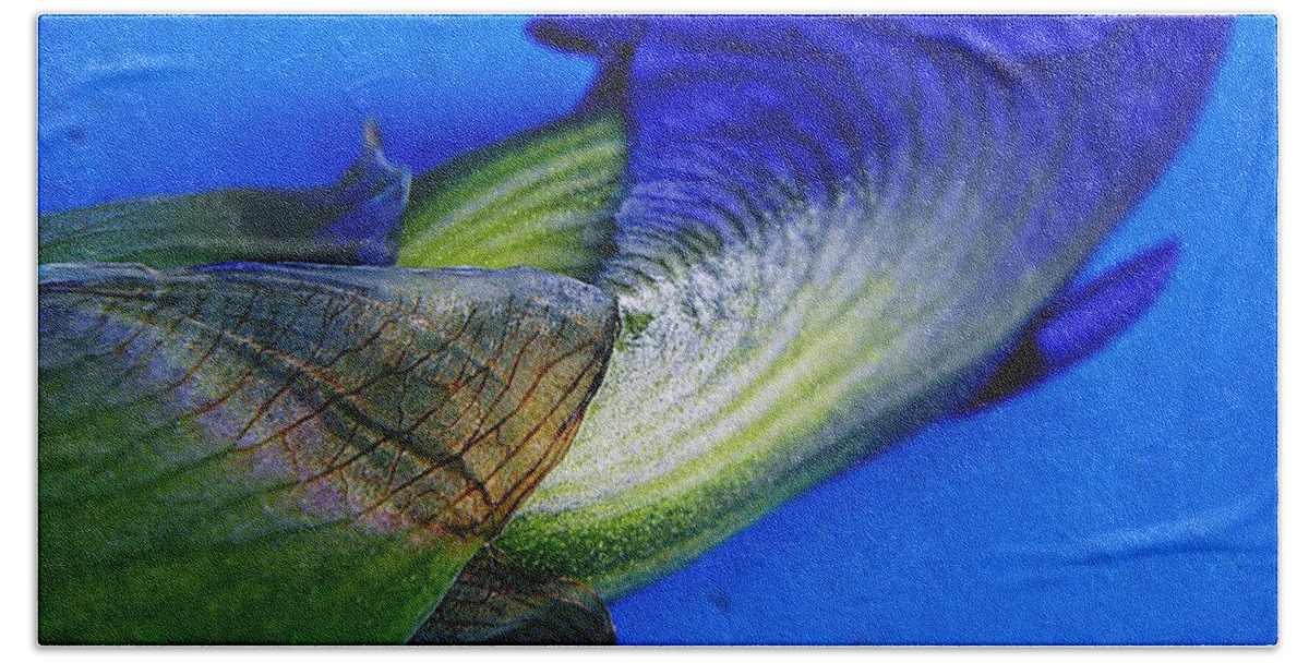 Nature Bath Towel featuring the photograph Iris on Blue by Chris Berry