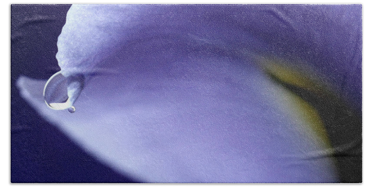 Purple Iris Hand Towel featuring the photograph Iris Rain by Krissy Katsimbras