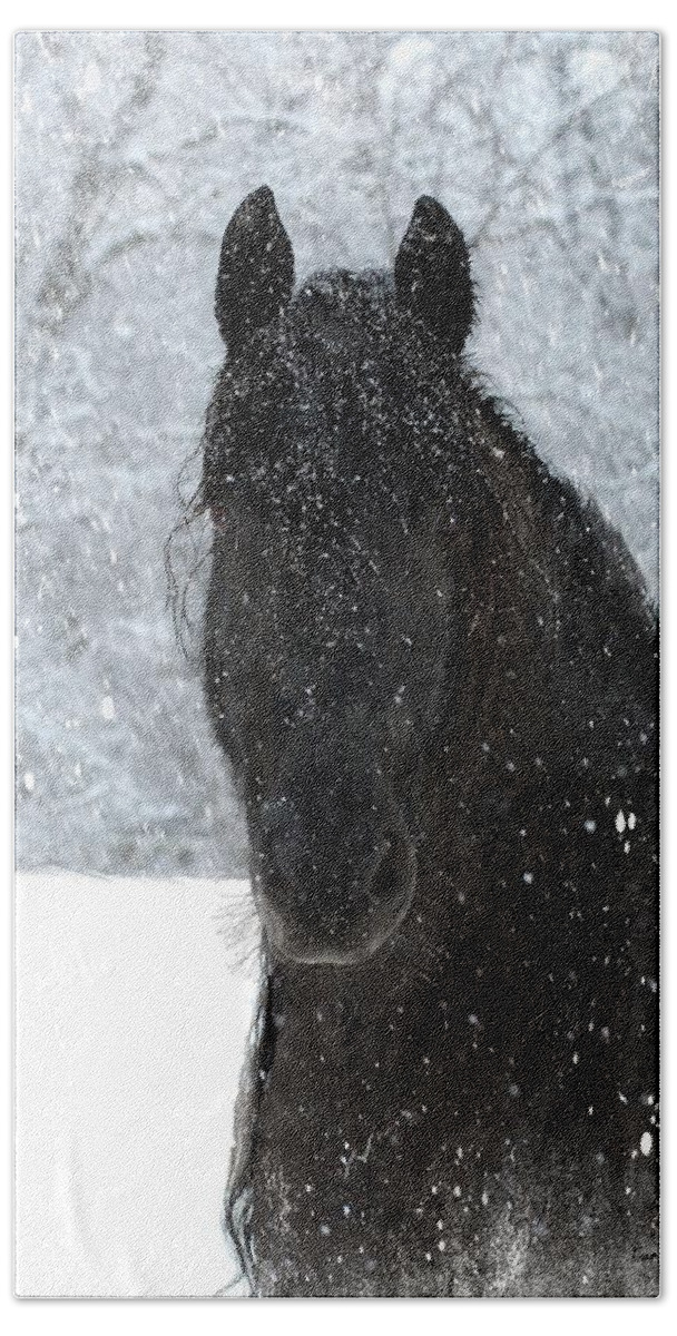 Friesian Horses Hand Towel featuring the photograph It's Friesian out here by Fran J Scott