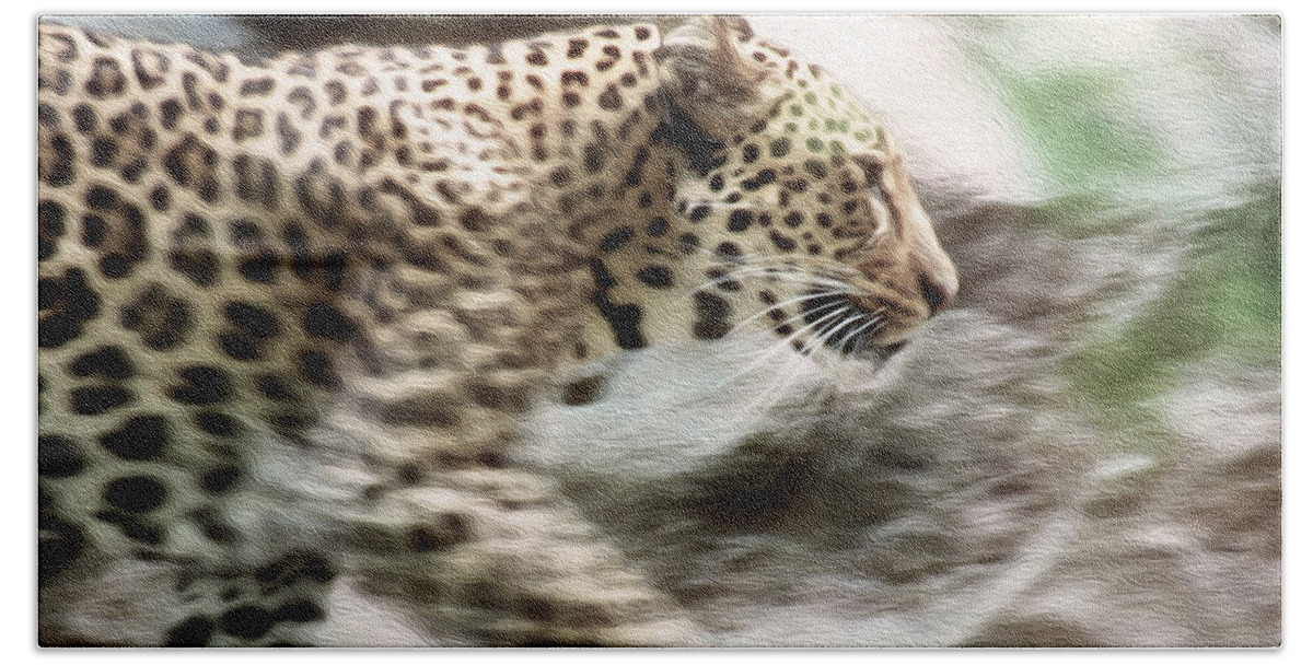 Jaguar Bath Sheet featuring the photograph Jaguar in Motion by Tracy Winter