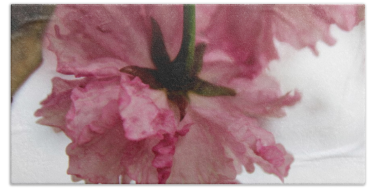 Skompski Hand Towel featuring the photograph Japanese Cherry Blossom by Joseph Skompski