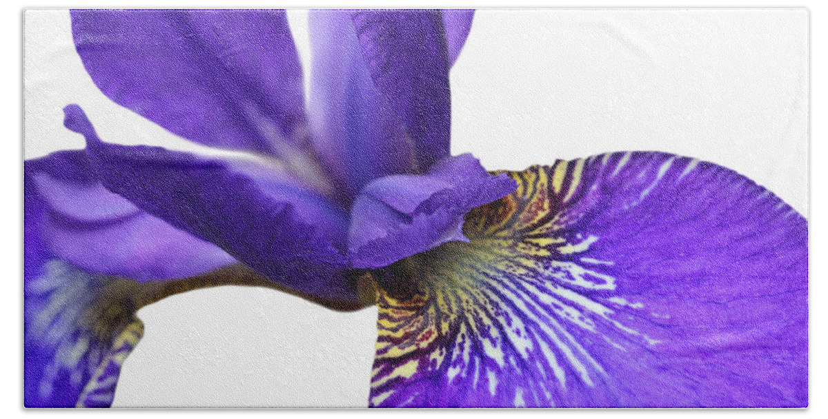 Iris Bath Towel featuring the photograph Japanese Iris Purple White Five by Jennie Marie Schell