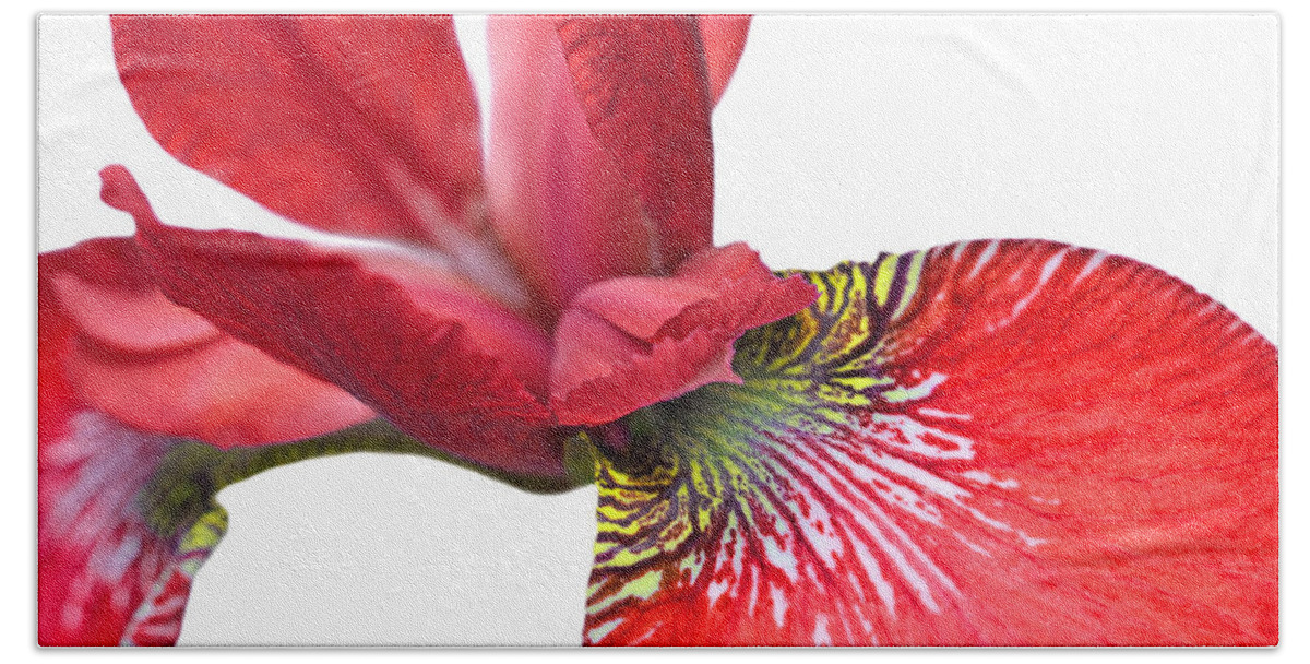 Iris Bath Towel featuring the photograph Japanese Iris Red White Five by Jennie Marie Schell
