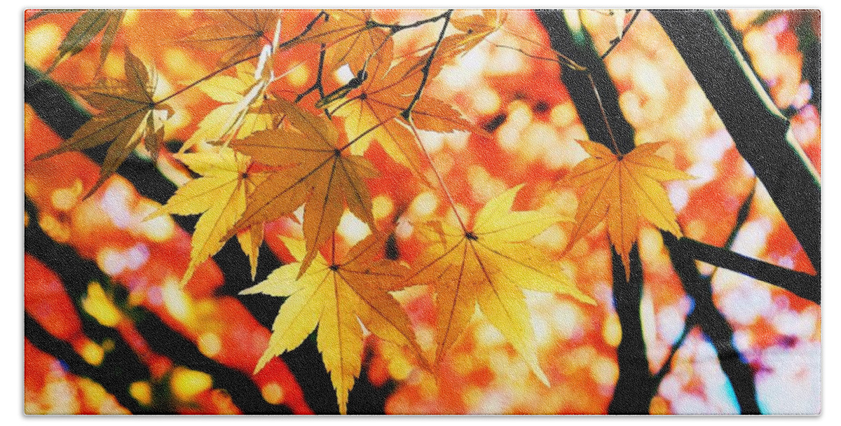 Japanese Bath Towel featuring the photograph Japanese Maple Leaves by Sharon Woerner