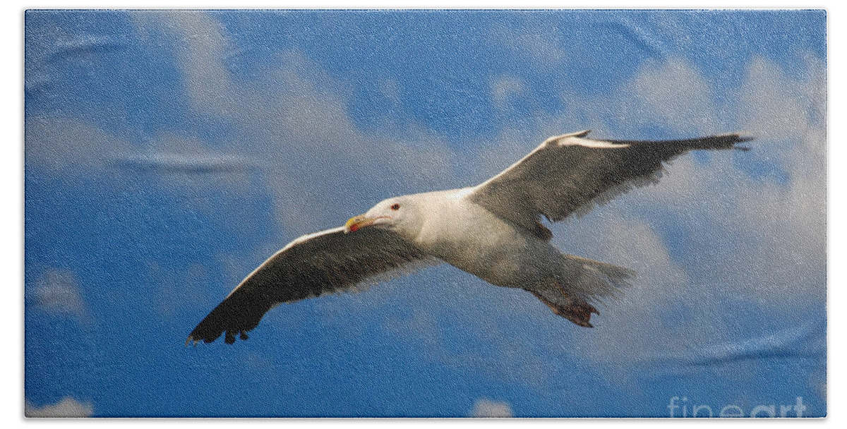 Seagull Sky Fly Soar Bath Towel featuring the photograph Jonathan Livingston by Richard Gibb