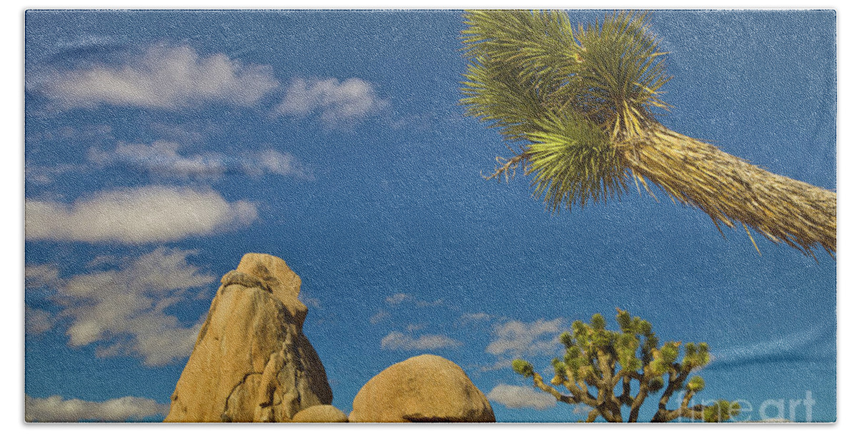 00559180 Hand Towel featuring the photograph Joshua Tree Rocks And Sky by Yva Momatiuk John Eastcott