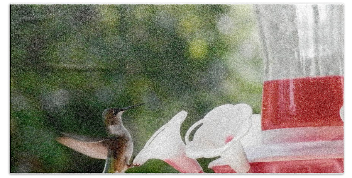 I Caught This Hummingbird Backing Up To Eat Some More Nectar Off The Bright Red Feeder. They Are Feeding And Resting Bath Towel featuring the photograph Jump Back Jack Tasty by Belinda Lee