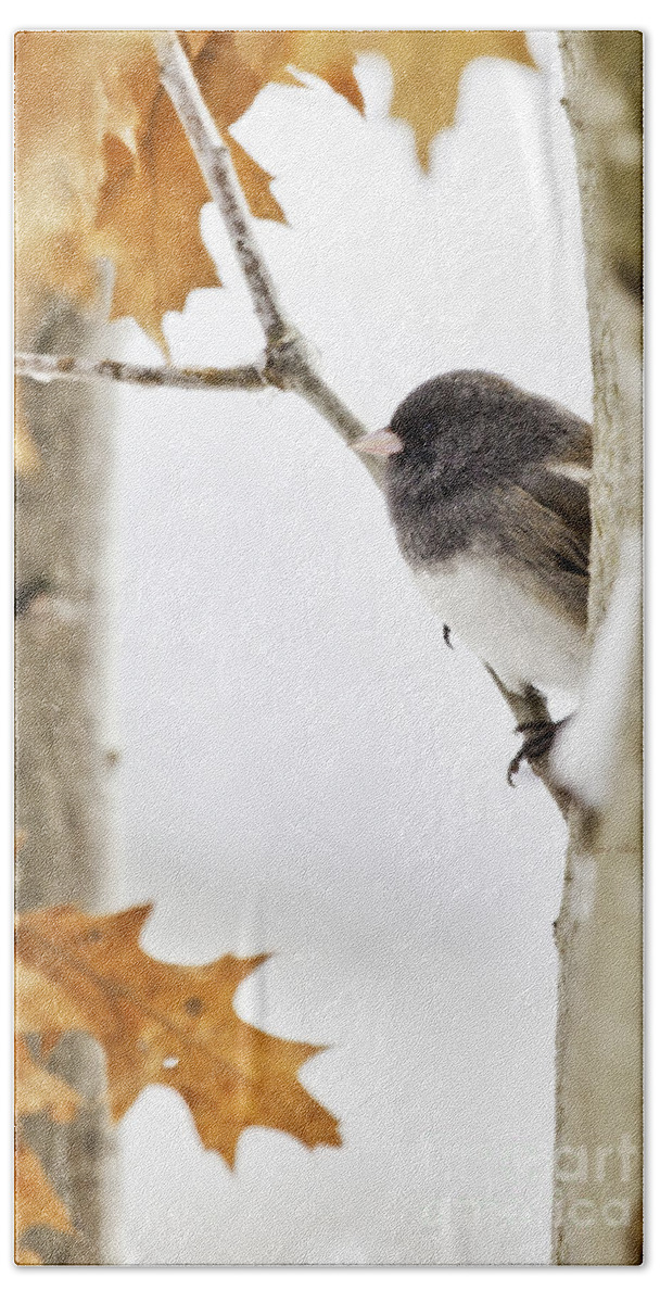 Junco Hand Towel featuring the photograph Junco and Oak by Jan Killian