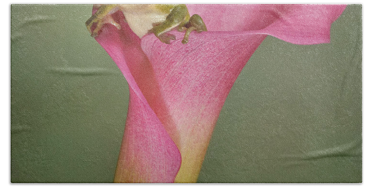 Calla Hand Towel featuring the photograph Kermit Peeking Out by Susan Candelario