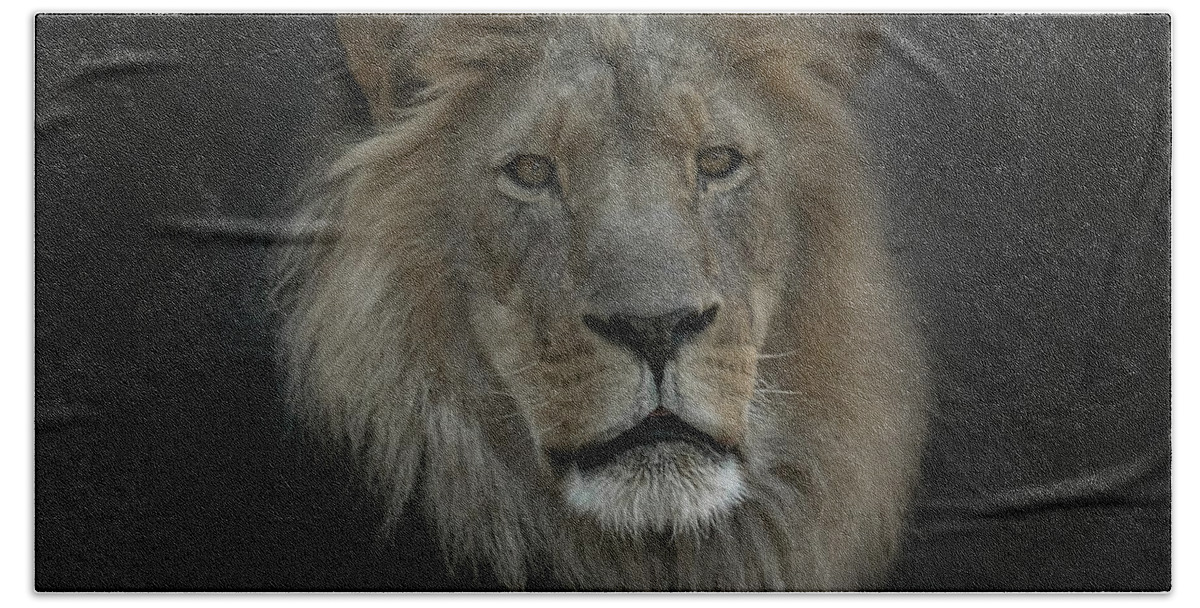 Lion Hand Towel featuring the photograph King of Beasts Portrait by Ernest Echols