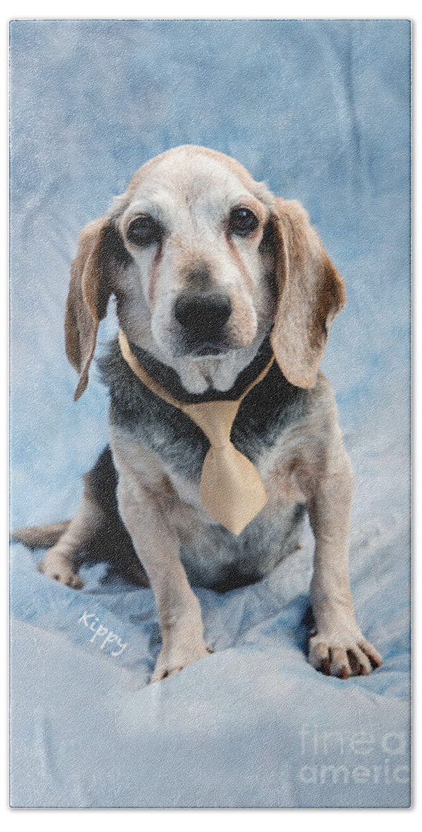 Beagel Bath Towel featuring the photograph Kippy Beagle Senior and Best Dog Ever by Iris Richardson