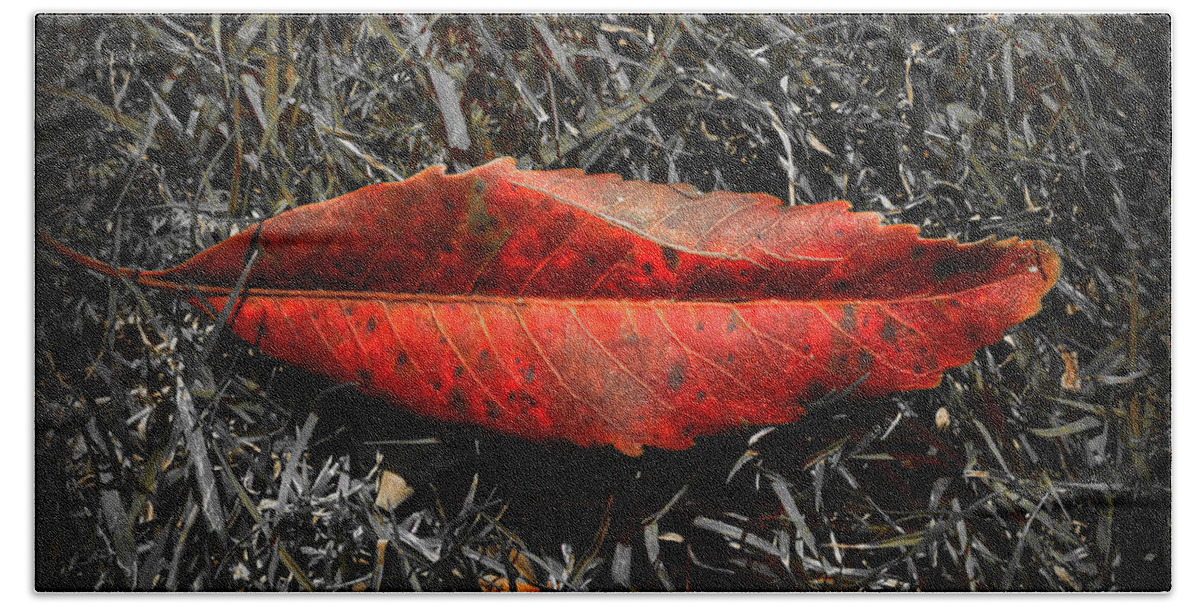 Leaf Bath Towel featuring the photograph Kiss Of Leaf by Wayne Sherriff